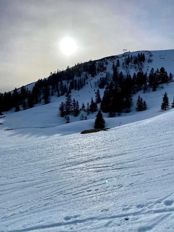 Appartement Chalet A 1400M - Station Du Mourtis Boutx 0*,  France