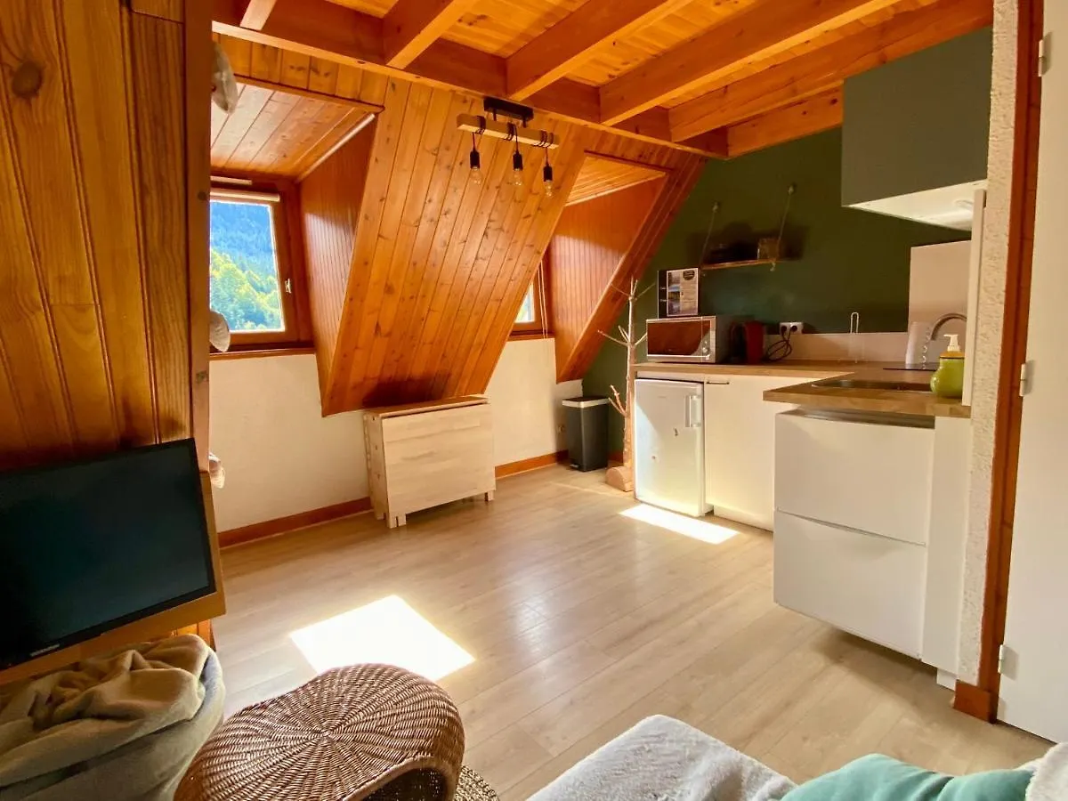Appartement Chalet A 1400M - Station Du Mourtis Boutx Apartment