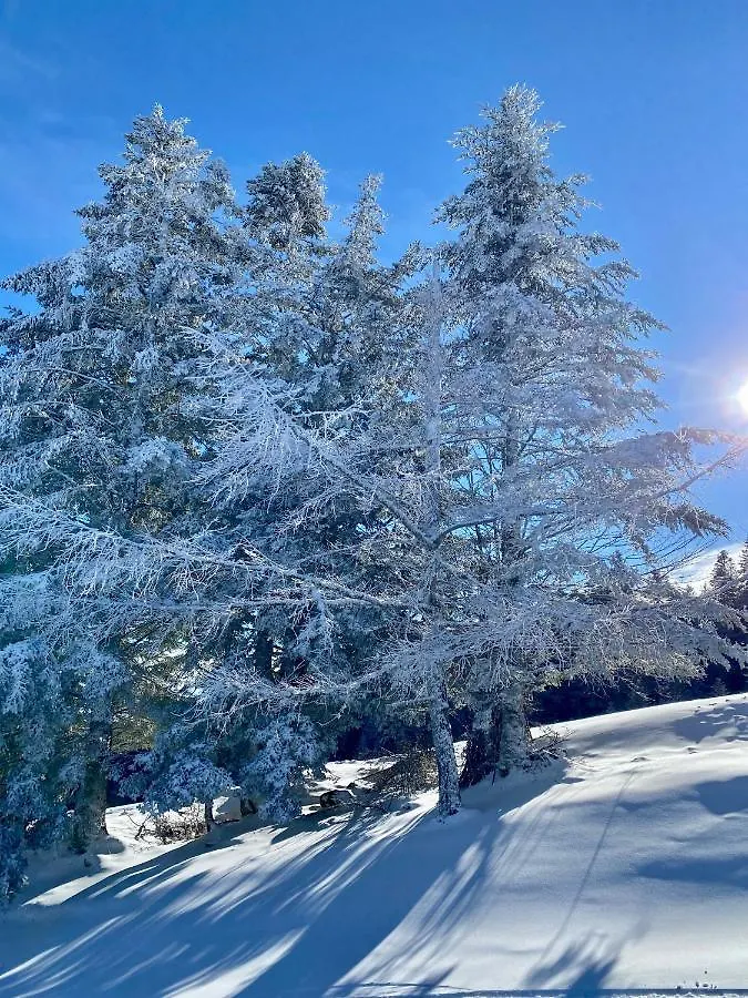 Apartment Appartement Chalet A 1400M - Station Du Mourtis Boutx